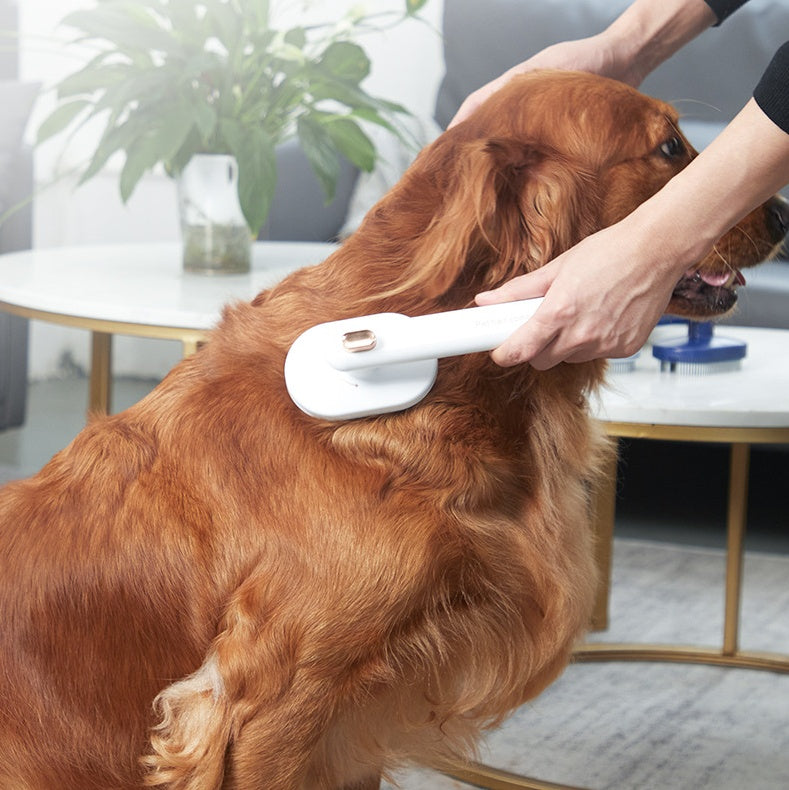 Cat & Dog Self-Grooming Brush
